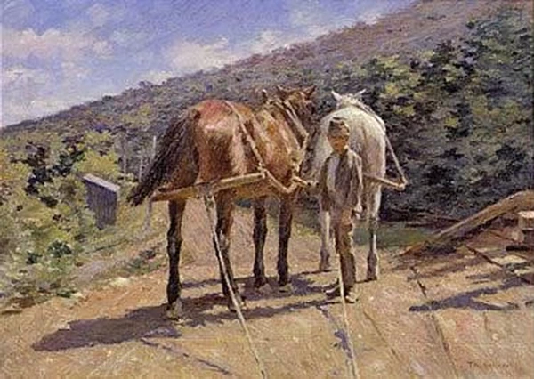 Cavalli al traino